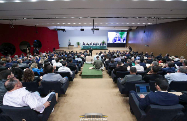 Notícia Image