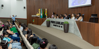 C&acirc;mara de Chapad&atilde;o do Sul realiza noite especial em homenagem &agrave;s mulheres.